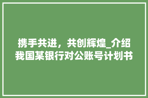 携手共进，共创辉煌_介绍我国某银行对公账号计划书