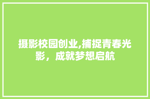 摄影校园创业,捕捉青春光影，成就梦想启航