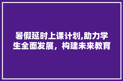 暑假延时上课计划,助力学生全面发展，构建未来教育新格局
