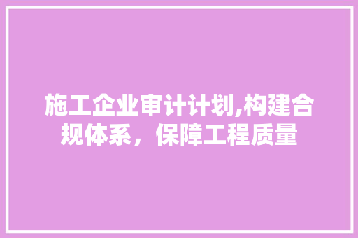 施工企业审计计划,构建合规体系，保障工程质量