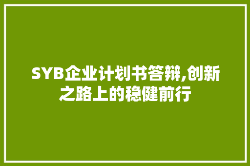 SYB企业计划书答辩,创新之路上的稳健前行