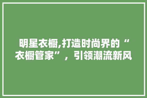 明星衣橱,打造时尚界的“衣橱管家”，引领潮流新风尚