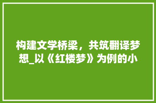 构建文学桥梁，共筑翻译梦想_以《红楼梦》为例的小说翻译计划书