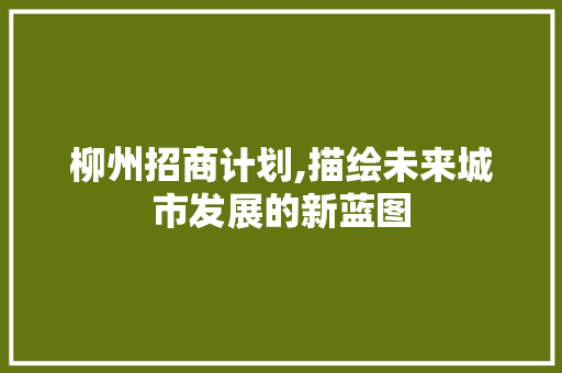 柳州招商计划,描绘未来城市发展的新蓝图
