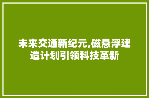 未来交通新纪元,磁悬浮建造计划引领科技革新