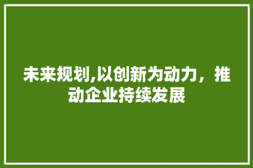 未来规划,以创新为动力，推动企业持续发展