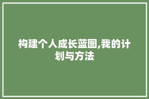 构建个人成长蓝图,我的计划与方法