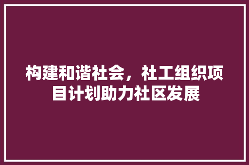 构建和谐社会，社工组织项目计划助力社区发展