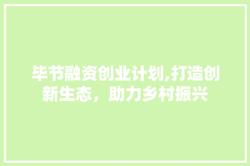 毕节融资创业计划,打造创新生态，助力乡村振兴