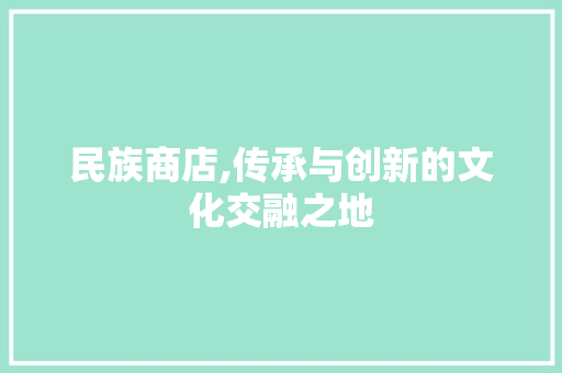 民族商店,传承与创新的文化交融之地