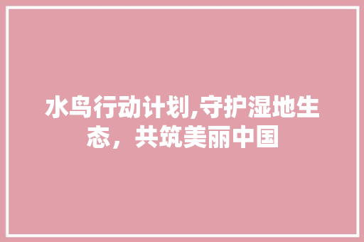 水鸟行动计划,守护湿地生态，共筑美丽中国