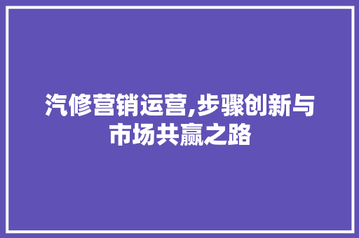 汽修营销运营,步骤创新与市场共赢之路