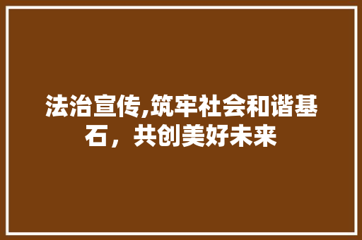 法治宣传,筑牢社会和谐基石，共创美好未来