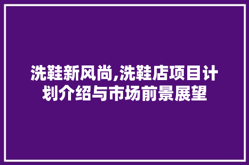 洗鞋新风尚,洗鞋店项目计划介绍与市场前景展望