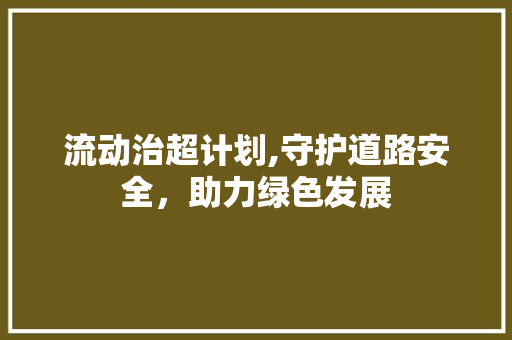 流动治超计划,守护道路安全，助力绿色发展
