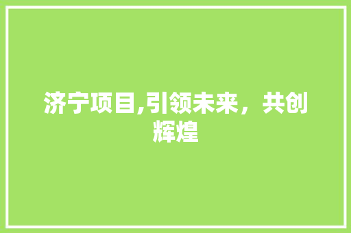 济宁项目,引领未来，共创辉煌