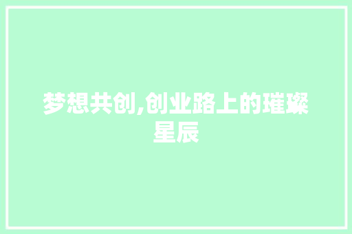 梦想共创,创业路上的璀璨星辰