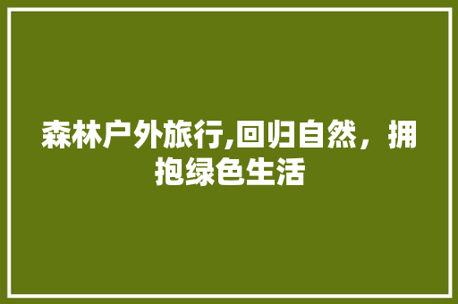 森林户外旅行,回归自然，拥抱绿色生活