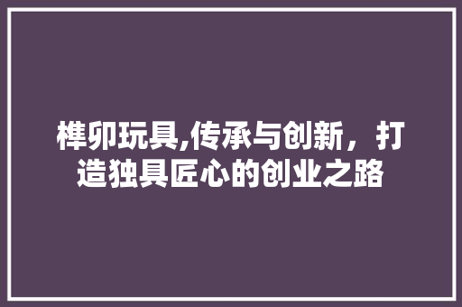 榫卯玩具,传承与创新，打造独具匠心的创业之路