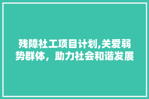残障社工项目计划,关爱弱势群体，助力社会和谐发展