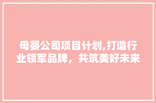 母婴公司项目计划,打造行业领军品牌，共筑美好未来
