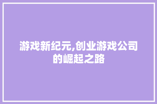 游戏新纪元,创业游戏公司的崛起之路 工作总结
