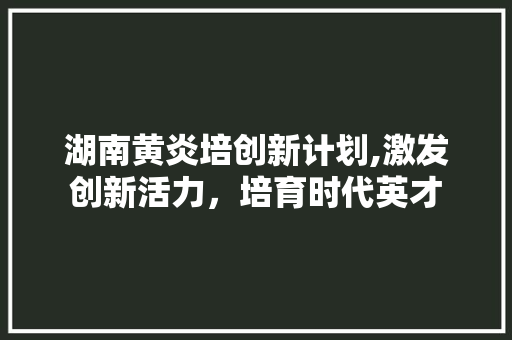 湖南黄炎培创新计划,激发创新活力，培育时代英才