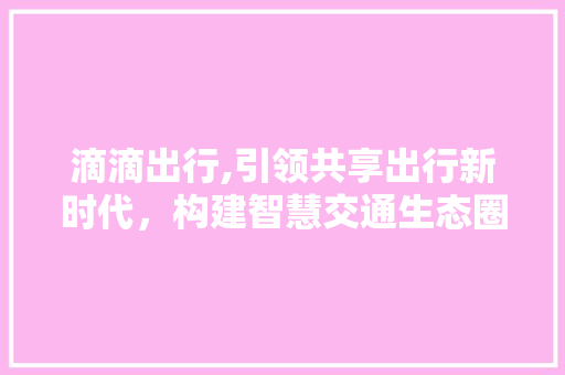 滴滴出行,引领共享出行新时代，构建智慧交通生态圈