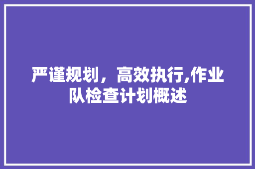 严谨规划，高效执行,作业队检查计划概述