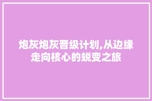 炮灰炮灰晋级计划,从边缘走向核心的蜕变之旅