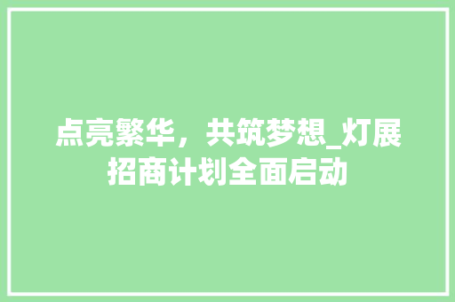 点亮繁华，共筑梦想_灯展招商计划全面启动 工作总结