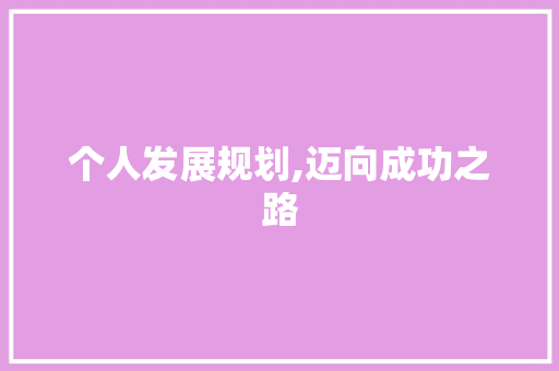 个人发展规划,迈向成功之路