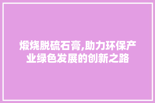 煅烧脱硫石膏,助力环保产业绿色发展的创新之路 个人简历