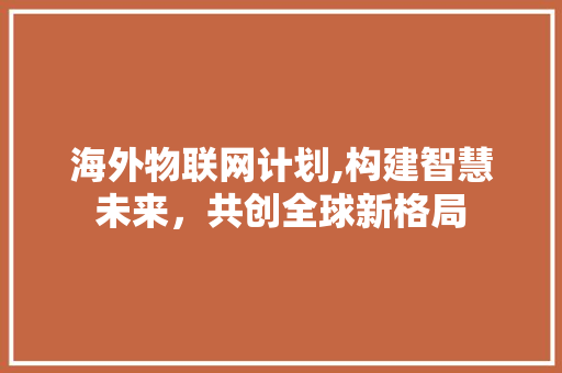 海外物联网计划,构建智慧未来，共创全球新格局 演讲稿