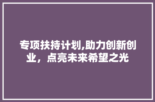 专项扶持计划,助力创新创业，点亮未来希望之光