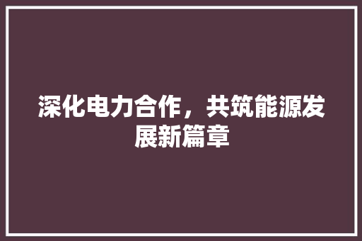 深化电力合作，共筑能源发展新篇章