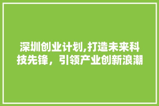 深圳创业计划,打造未来科技先锋，引领产业创新浪潮