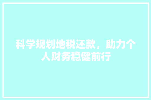 科学规划地税还款，助力个人财务稳健前行 演讲稿
