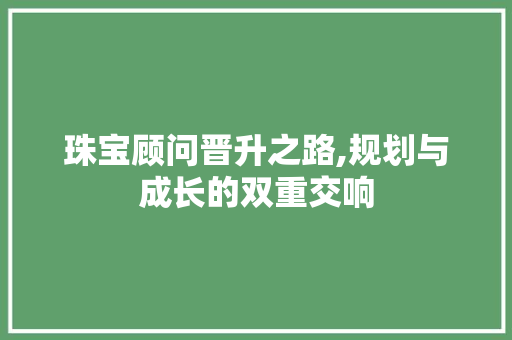珠宝顾问晋升之路,规划与成长的双重交响