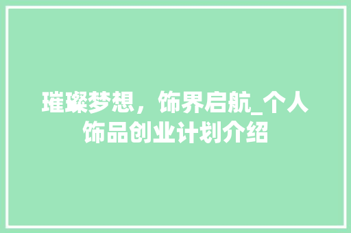 璀璨梦想，饰界启航_个人饰品创业计划介绍