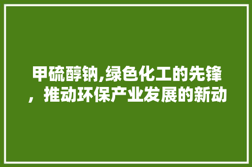 甲硫醇钠,绿色化工的先锋，推动环保产业发展的新动力