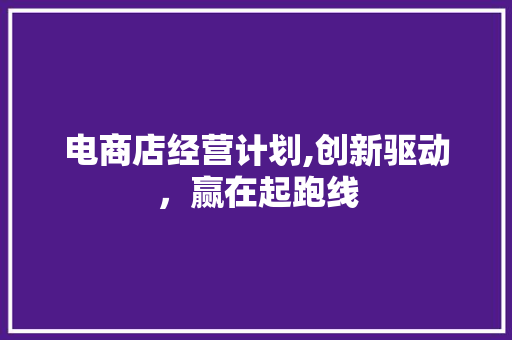 电商店经营计划,创新驱动，赢在起跑线