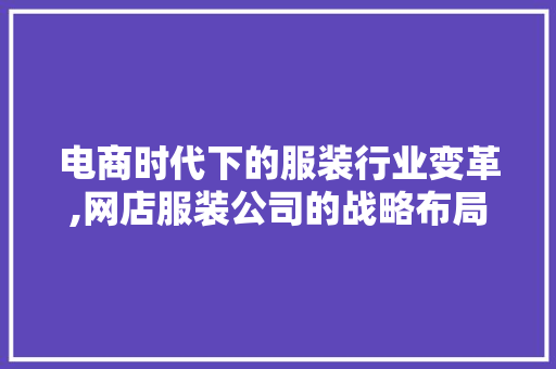电商时代下的服装行业变革,网店服装公司的战略布局与市场机遇