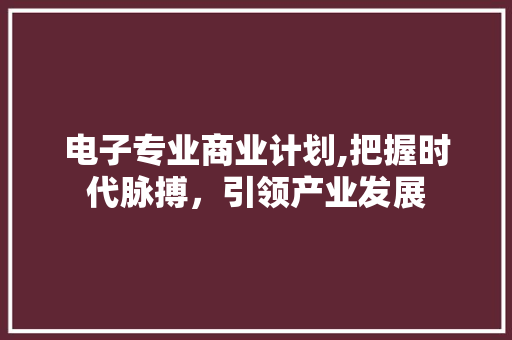 电子专业商业计划,把握时代脉搏，引领产业发展