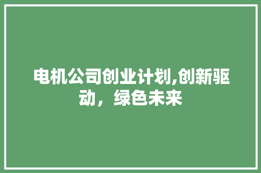 电机公司创业计划,创新驱动，绿色未来