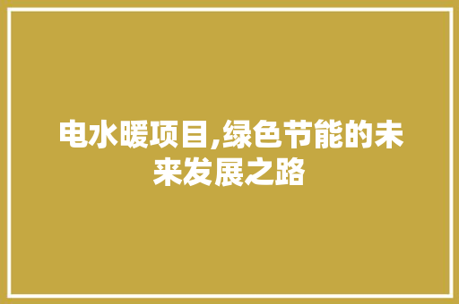 电水暖项目,绿色节能的未来发展之路
