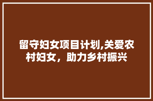 留守妇女项目计划,关爱农村妇女，助力乡村振兴