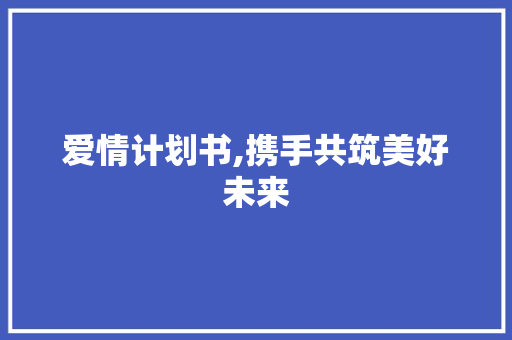 爱情计划书,携手共筑美好未来