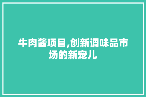牛肉酱项目,创新调味品市场的新宠儿 工作计划