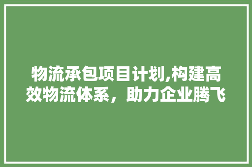 物流承包项目计划,构建高效物流体系，助力企业腾飞 个人简历
